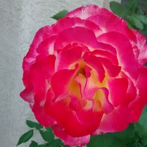 Meet your Posher, Mandana